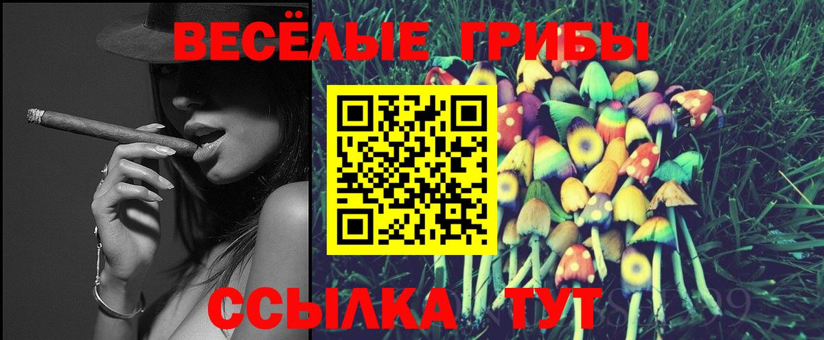 Дивногорск  магазин продажи   Вход с VPN  Псилоцибиновые грибы ЛСД 